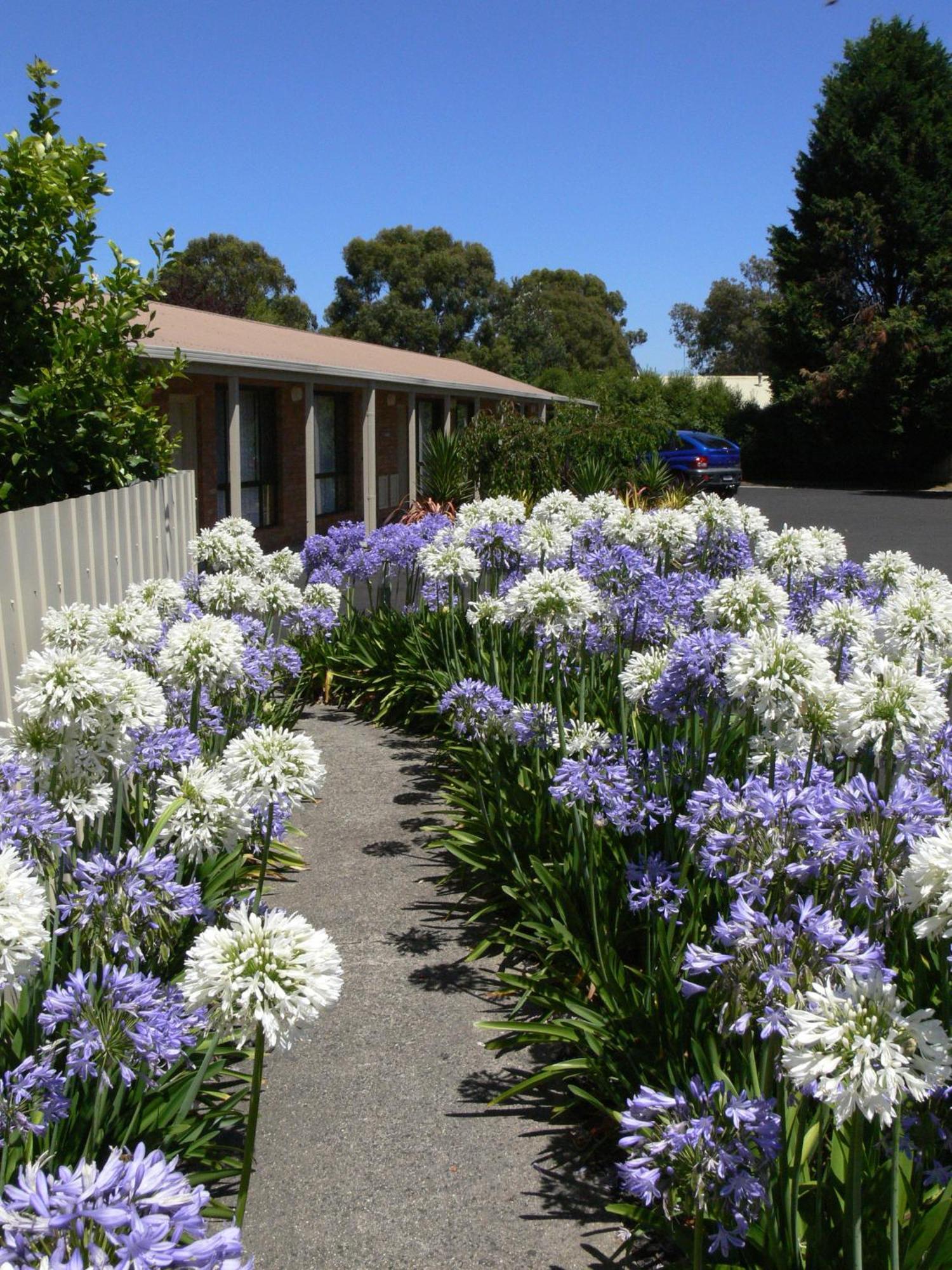 Begonia City Motor Inn Ballarat Dış mekan fotoğraf